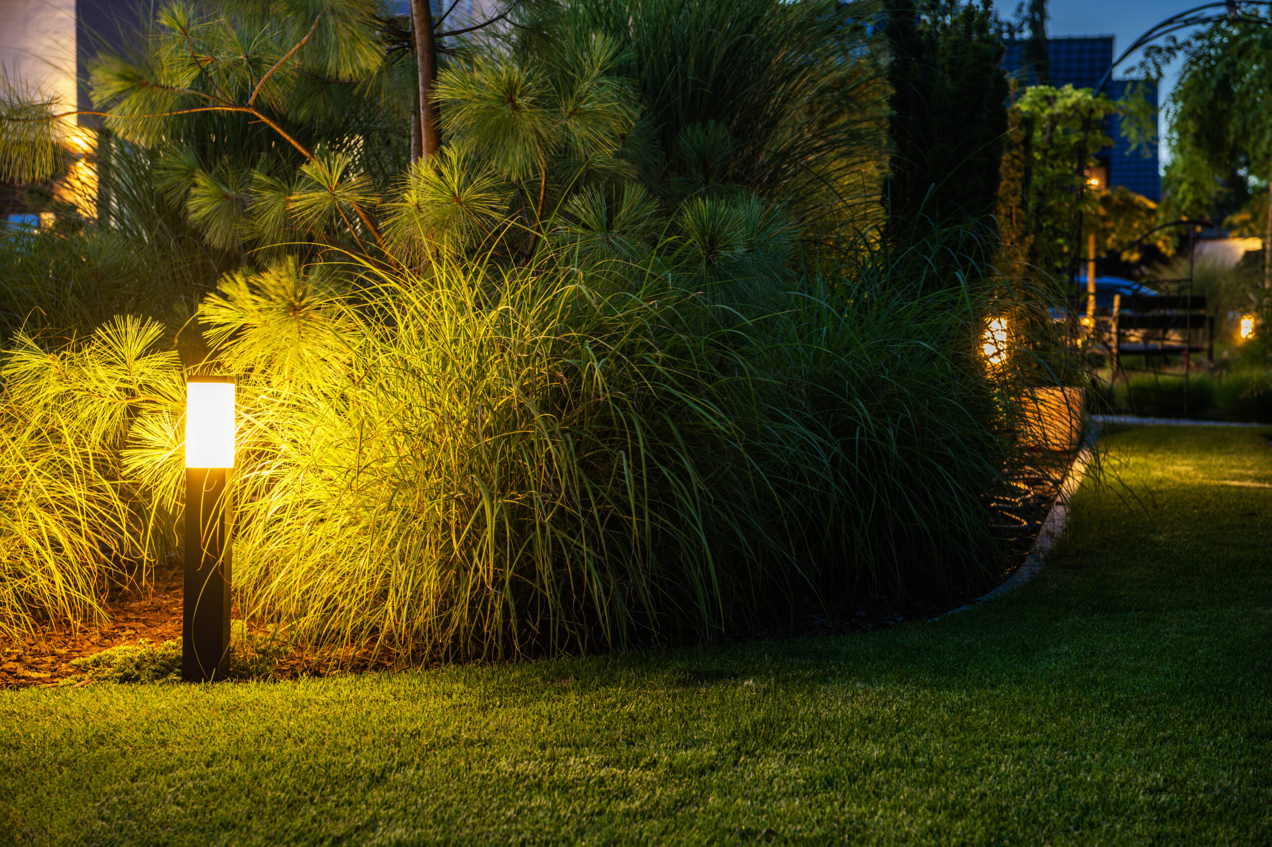 Residential Backyard Garden Lighting System