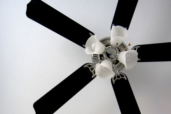 Install a Ceiling Fan