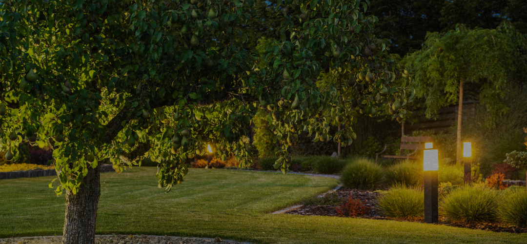 Outdoor Lighting Ideas