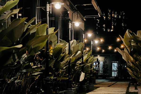 Outdoor Lighting Ideas