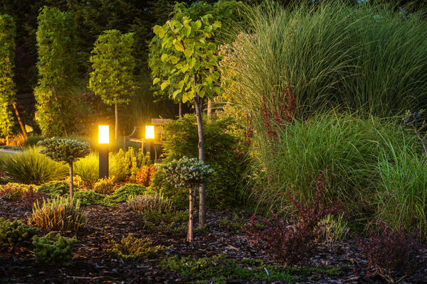 Landscape and Security Outdoor Lighting Rock Hill 2