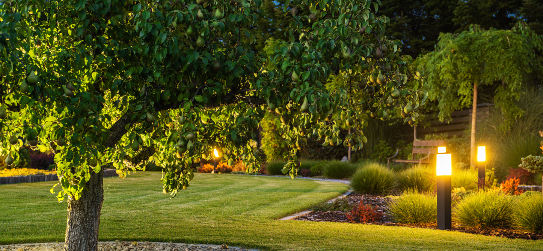 Landscape and Security Outdoor Lighting Rock Hill 7