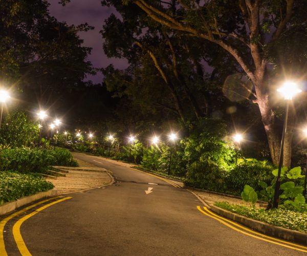 decorative night lighting the road 2021 11 02 02 21 03 utc 1 scaled